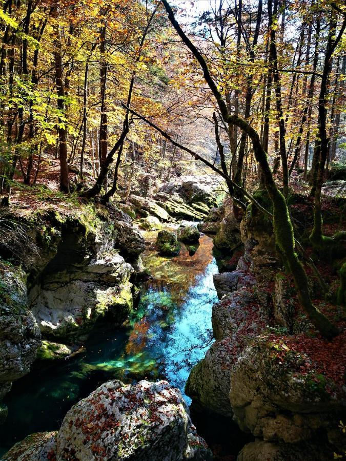 Chalet Ajda Bohinj Εξωτερικό φωτογραφία